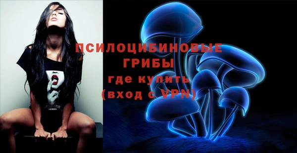 mdpv Переславль-Залесский