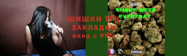 дмт Пересвет
