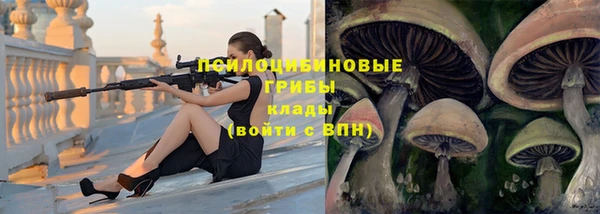 прущая мука Арсеньев