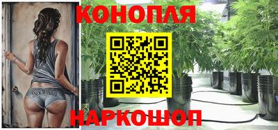тгк Гатчина