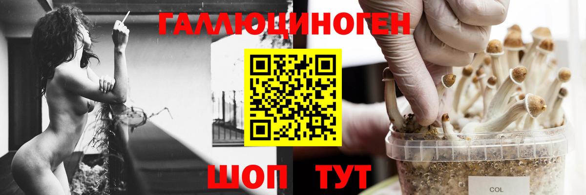 Галлюциногенные грибы Magic Shrooms  Вход с VPN  Галлюциногенные грибы MAGIC MUSHROOMS  Белово 
